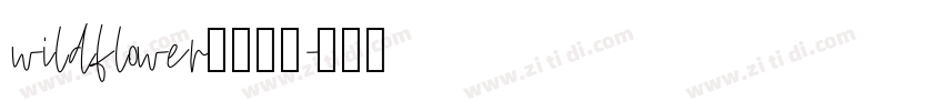 wildflower字幕下载字体转换