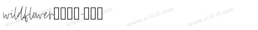 wildflower字幕下载字体转换