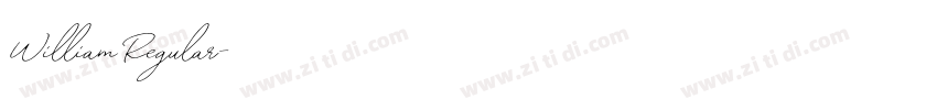 WilliamRegular字体转换