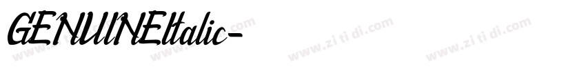 GENUINEItalic字体转换