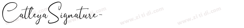 CatleyaSignature字体转换