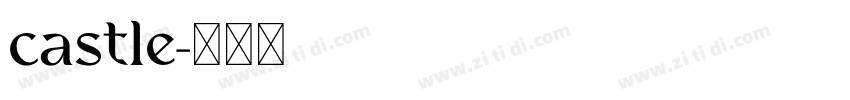 castle字体转换