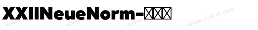 XXIINeueNorm字体转换