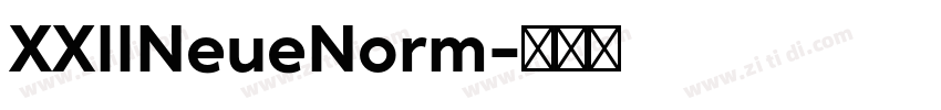 XXIINeueNorm字体转换