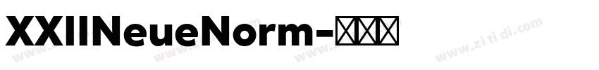 XXIINeueNorm字体转换