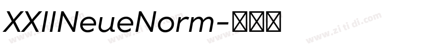 XXIINeueNorm字体转换