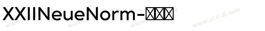 XXIINeueNorm字体转换