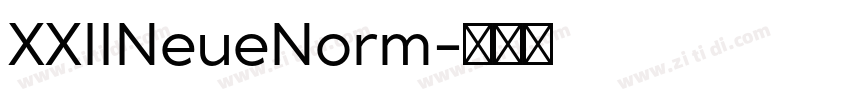 XXIINeueNorm字体转换
