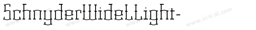 SchnyderWideLLight字体转换