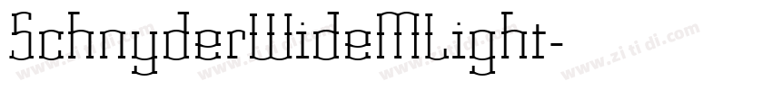 SchnyderWideMLight字体转换