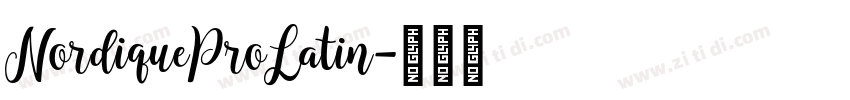 NordiqueProLatin字体转换