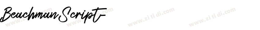BeachmanScript字体转换