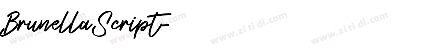BrunellaScript字体转换