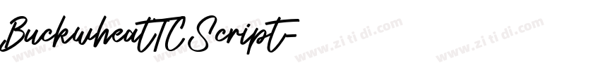 BuckwheatTCScript字体转换