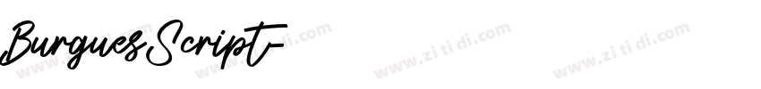 BurguesScript字体转换 BurguesScript字体转换