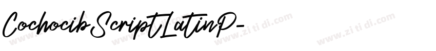 CochocibScriptLatinP字体转换