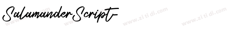 SalamanderScript字体转换 SalamanderScript字体转换