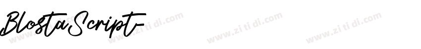 BlostaScript字体转换