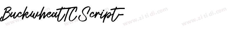 BuckwheatTCScript字体转换