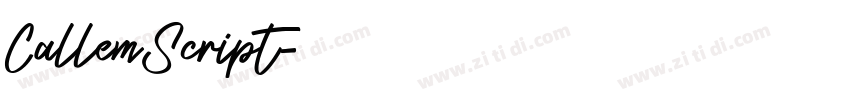 CallemScript字体转换