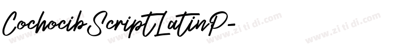 CochocibScriptLatinP字体转换