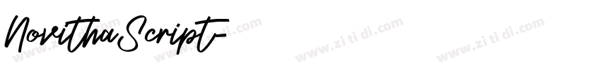 NovithaScript字体转换 NovithaScript字体转换