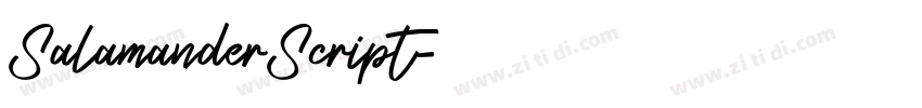 SalamanderScript字体转换 SalamanderScript字体转换