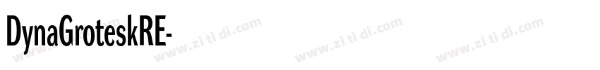 DynaGroteskRE字体转换