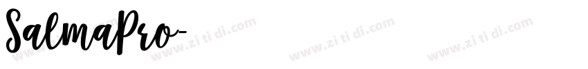 SalmaPro字体转换