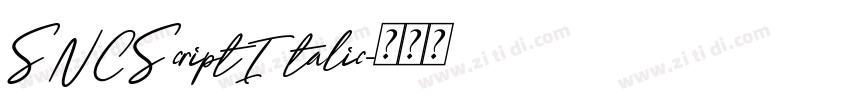 SNCScriptItalic字体转换
