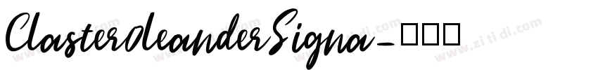 Claster0leanderSigna字体转换