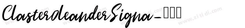 Claster0leanderSigna字体转换