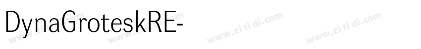 DynaGroteskRE字体转换