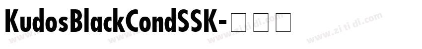 KudosBlackCondSSK字体转换