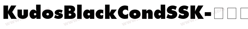KudosBlackCondSSK字体转换