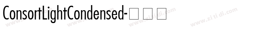 ConsortLightCondensed字体转换