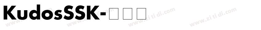 KudosSSK字体转换