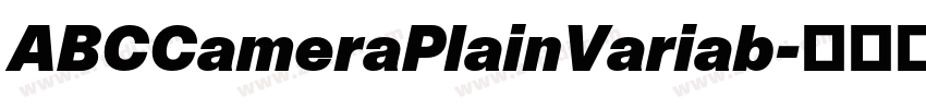 ABCCameraPlainVariab字体转换 ABCCameraPlainVariab字体转换