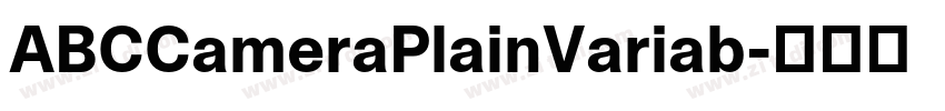 ABCCameraPlainVariab字体转换 ABCCameraPlainVariab字体转换