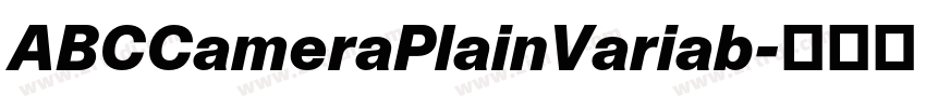 ABCCameraPlainVariab字体转换 ABCCameraPlainVariab字体转换