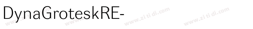 DynaGroteskRE字体转换
