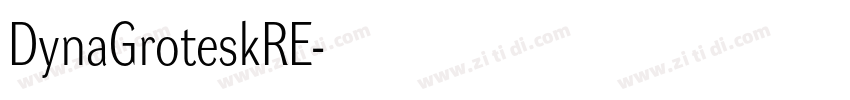 DynaGroteskRE字体转换