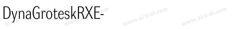 DynaGroteskRXE字体转换