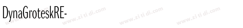 DynaGroteskRE字体转换