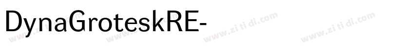 DynaGroteskRE字体转换