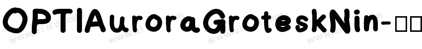 OPTIAuroraGroteskNin字体转换