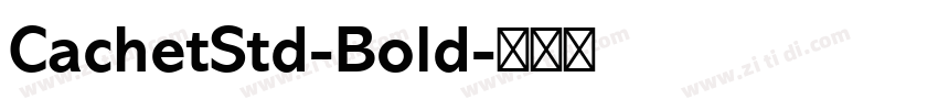 CachetStd-Bold字体转换