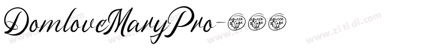 DomloveMaryPro字体转换