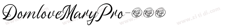 DomloveMaryPro字体转换