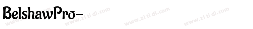 BelshawPro字体转换